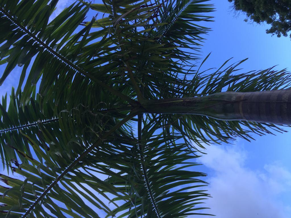 San San Tropez Hotel Port Antonio Kültér fotó